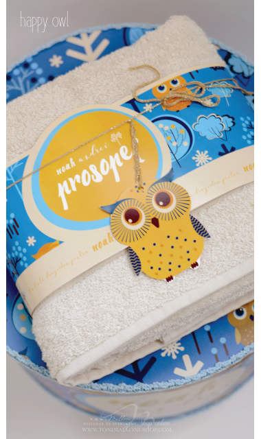 Trusou de botez cu broderie personalizata pentru baieti, Owl Baby Boy 11